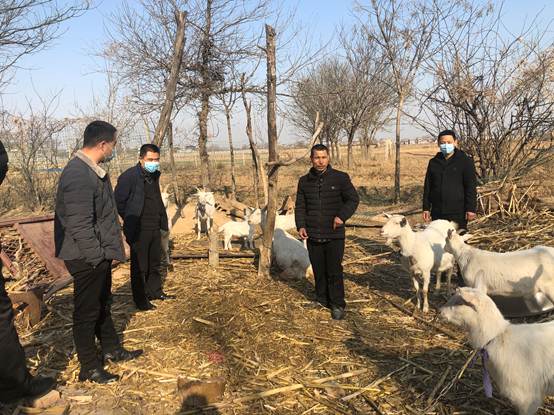 微信图片_20210120163017
