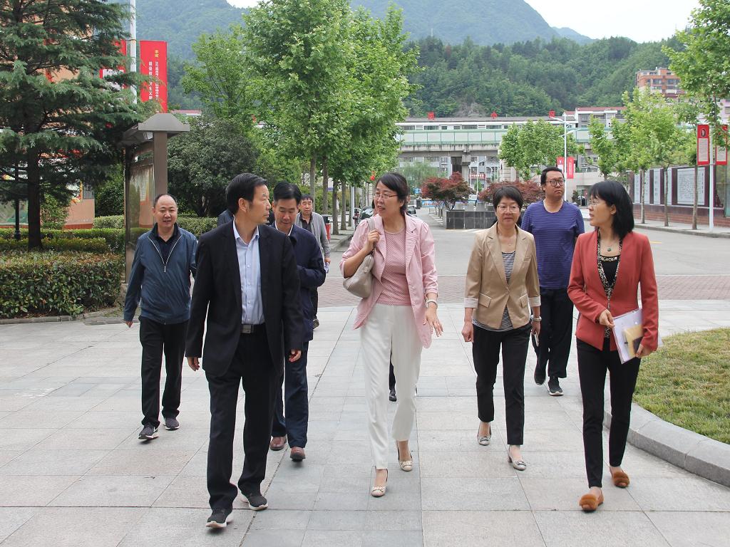 说明: 图片1