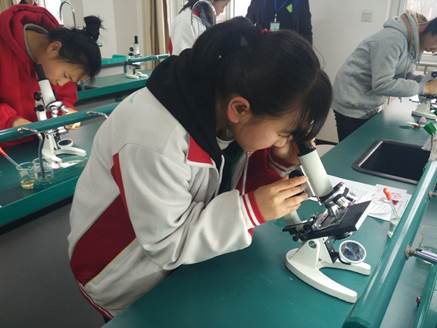 生物实验